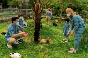 03. Feeding rabbit
