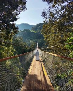 Rengganis Suspension Bridge, Tempat Wisata Terbaru di Ciwidey Bandung dengan Jembatan Gantung  Terpanjang Se Asia Tenggara. Foto: instagram@sigotik91