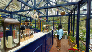 Golden Pine Orchid Forest Lembang Bandung, Tempat Minum Teh Sambil Menikmati Sejuknya Hutan Pinus Ala Eropa
