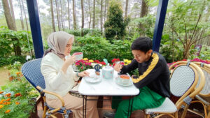 Golden Pine Orchid Forest Lembang Bandung, Tempat Minum Teh Sambil Menikmati Sejuknya Hutan Pinus Ala Eropa