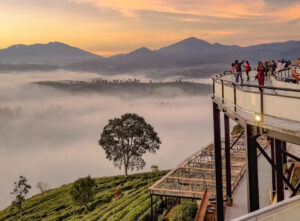 Tempat wisata Bandung Hits 2023 ada Nimo Highland. Sumber foto: instagram@darlingcafe Tempat wisata Bandung Hits 2023 ada Nimo Highland. Sumber foto: instagram@darlingcafe