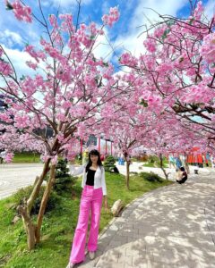 Mini Mania Lembang, Tempat Wisata Terbaru di Bandung 2023, Keliling Dunia Cukup 2 Jam Lengkap dengan Alamat dan HTM nya