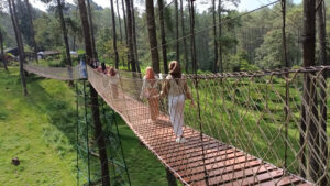 Tempat Wisata Orchid Forest Cikole Lembang Bandung