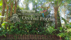 Tempat Wisata Orchid Forest Cikole Lembang Bandung Tempat Wisata Orchid Forest Cikole Lembang Bandung