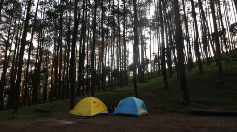6 Rekomendasi Tempat Camping di Bandung Timur, Lengkap dengan Lokasi dan Harga Tiket Masuk