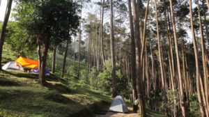 Wana wisata Batukuda Gunung Manglayang