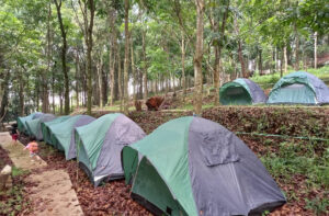Camping ground D’peak Bongkor Bandung Timur. Foto: Janatika soma