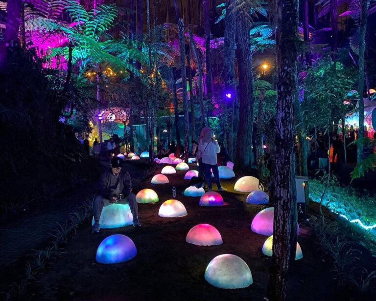 Hutan Mycelia, Tempat Wisata Malam Terbaru di Grafika Cikole Lembang Bandung, Hadirkan Lampu Menyala dengan Cahaya Warna-Warni