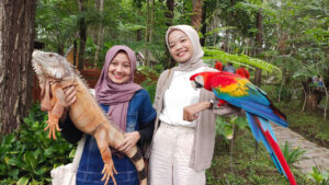 Rabbit Forest By Orchid Forest Cikole Lembang Bandung, Keseruan Memberikan Makan Kelinci, Domba, Anakan Sapi, Reptil dan Burung di Tengah Hutan Pinus
