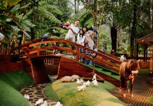 Orchid Forest Cikole Lembang Tetap Buka saat Ramadhan dan Liburan Lebaran 2024, Ngabuburit Seru di Rabbit Forest dan Golden Pine Orchid Forest Cikole Lembang Tetap Buka saat Ramadhan dan Liburan Lebaran 2024, Ngabuburit Seru di Rabbit Forest dan Golden Pine