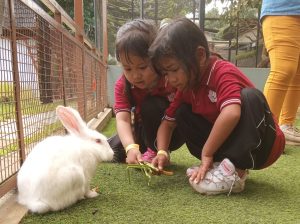 Jendela Alam: Rekomendasi Tempat Wisata Edukasi di Lembang Bandung untuk Liburan Lebaran 2024, Cocok untuk Anak-anak