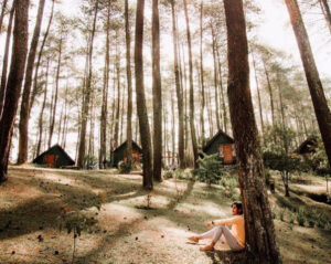 Tempat Wisata Bandung Grafika Cikole Lembang Tempat Wisata Bandung Grafika Cikole Lembang