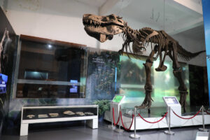Tempat wisata edukasi Museum Geologi Bandung