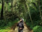 tempat wisata Bandung Tahura Bandung tempat wisata Bandung Tahura Bandung