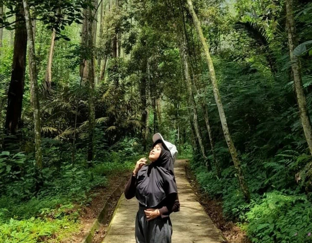 Tempat wisata Bandung Tahura Dago