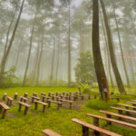 Tempat wisata Bandung Orchid Forest Cikole