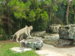 Tempat wisata Bandung Lembang Park zoo