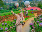 Tempat Wisata Bandung Bukit Strawberry Lembang Tempat Wisata Bandung Bukit Strawberry Lembang