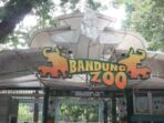 Tempat wisata Bandung Bandung Zoo Tempat wisata Bandung Bandung Zoo