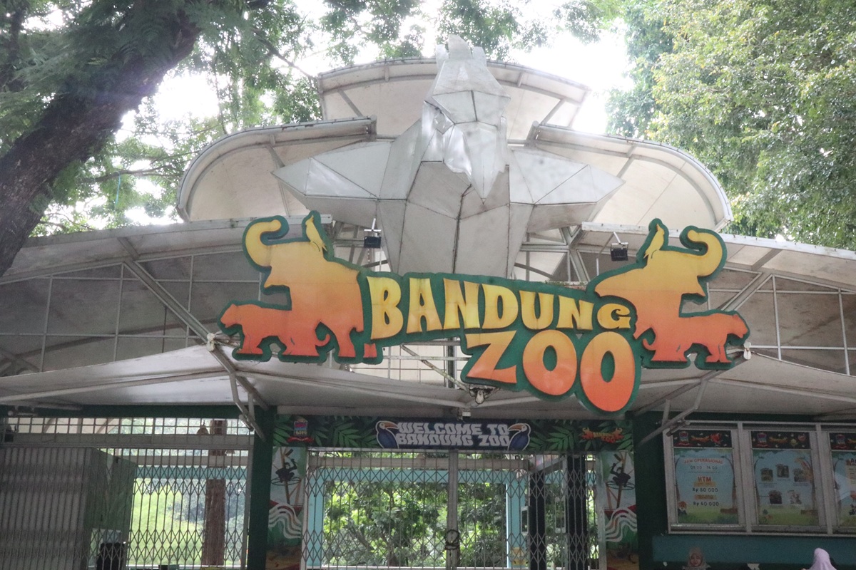 Tempat wisata Bandung Bandung Zoo