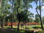 Viral Fotografer Dipungut Rp500 Ribu di Tebet Eco Park, Pengelola Ambil Tindakan Tegas Viral Fotografer Dipungut Rp500 Ribu di Tebet Eco Park, Pengelola Ambil Tindakan Tegas