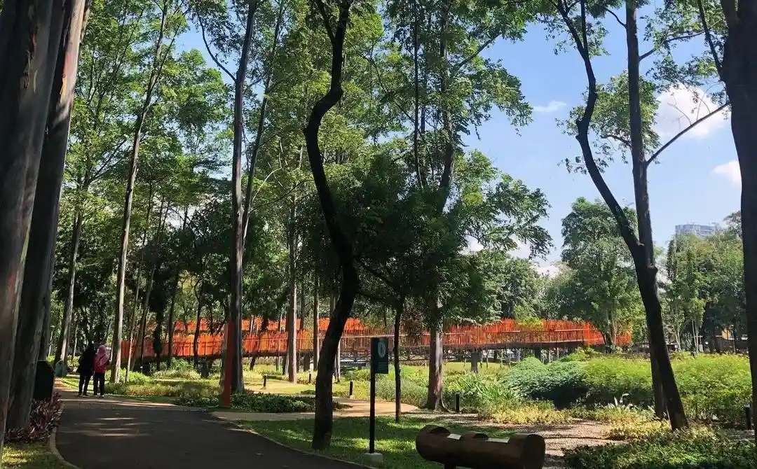 Viral Fotografer Dipungut Rp500 Ribu di Tebet Eco Park, Pengelola Ambil Tindakan Tegas
