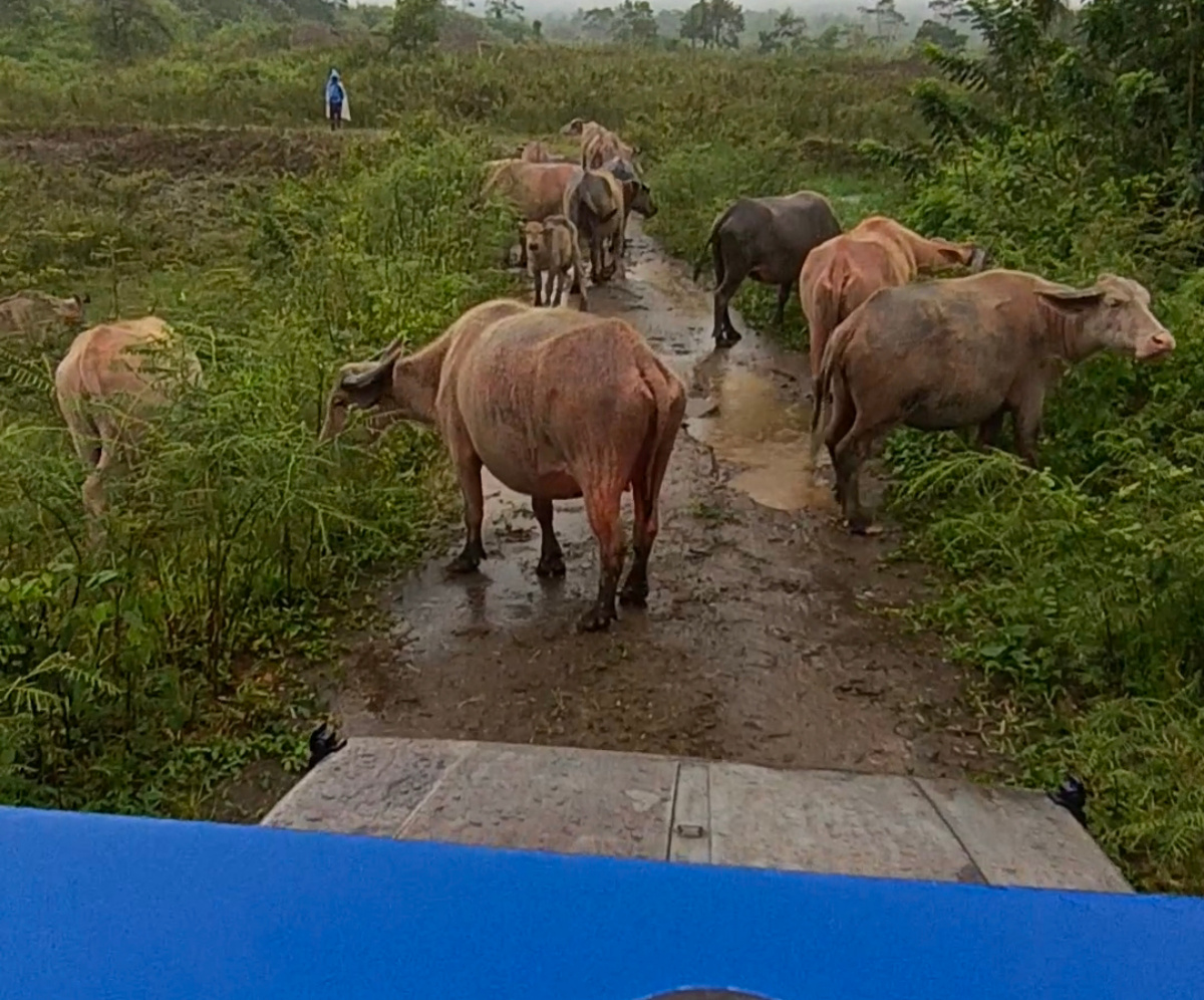Serunya Wisata Off Road di Kaki Gunung Galunggung: Jelajahi Pasir Datar Tasikmalaya dengan Sensasi Alam yang Mendebarkan