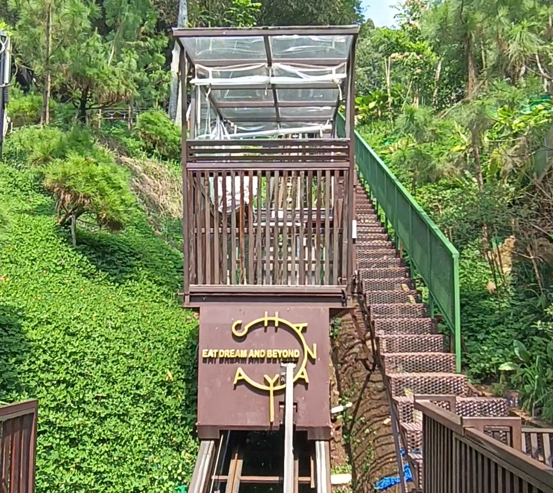 Liburan Akhir Tahun Chanaya Resort Hadirkan Enchanted Forest: Video Booth 'Invisibility Cloak' hingga Wizard Market