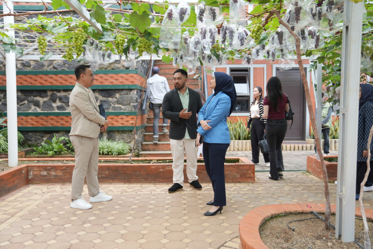 rumamenak Coffee & Eatery, cafe Dago Bandung, restoran Dago, tempat nongkrong di Bandung, agrowisata anggur Bandung, cafe view pegunungan Bandung, Vegemart rumamenak, kebun anggur Bandung, restoran outdoor Bandung, tempat meeting Bandung