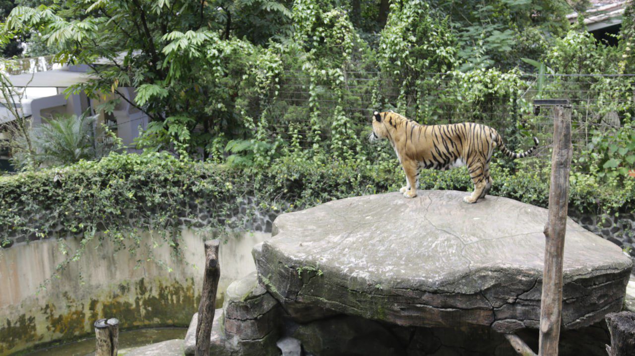 Kebun Binatang Bandung