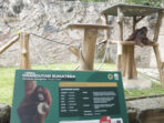 tempat wisata Bandung Kebun Binatang Bandung (Bandung Zoo) tempat wisata Bandung Kebun Binatang Bandung (Bandung Zoo)