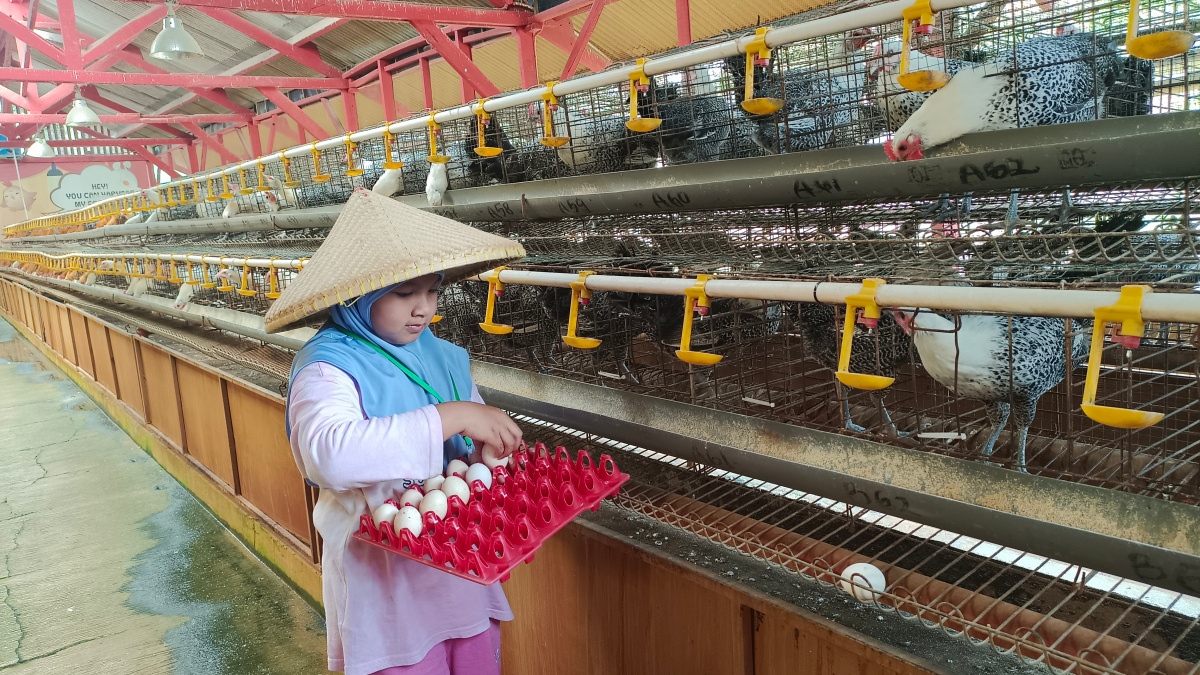 Rekomendasi Wisata Anak Saat Lebaran di Bandung, Jendela Alam Hadirkan Aktivitas Seru dari Berkebun hingga Flying Fox