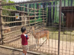 Rekomendasi Wisata Anak Saat Lebaran di Bandung, Jendela Alam Hadirkan Aktivitas Seru dari Berkebun hingga Flying Fox