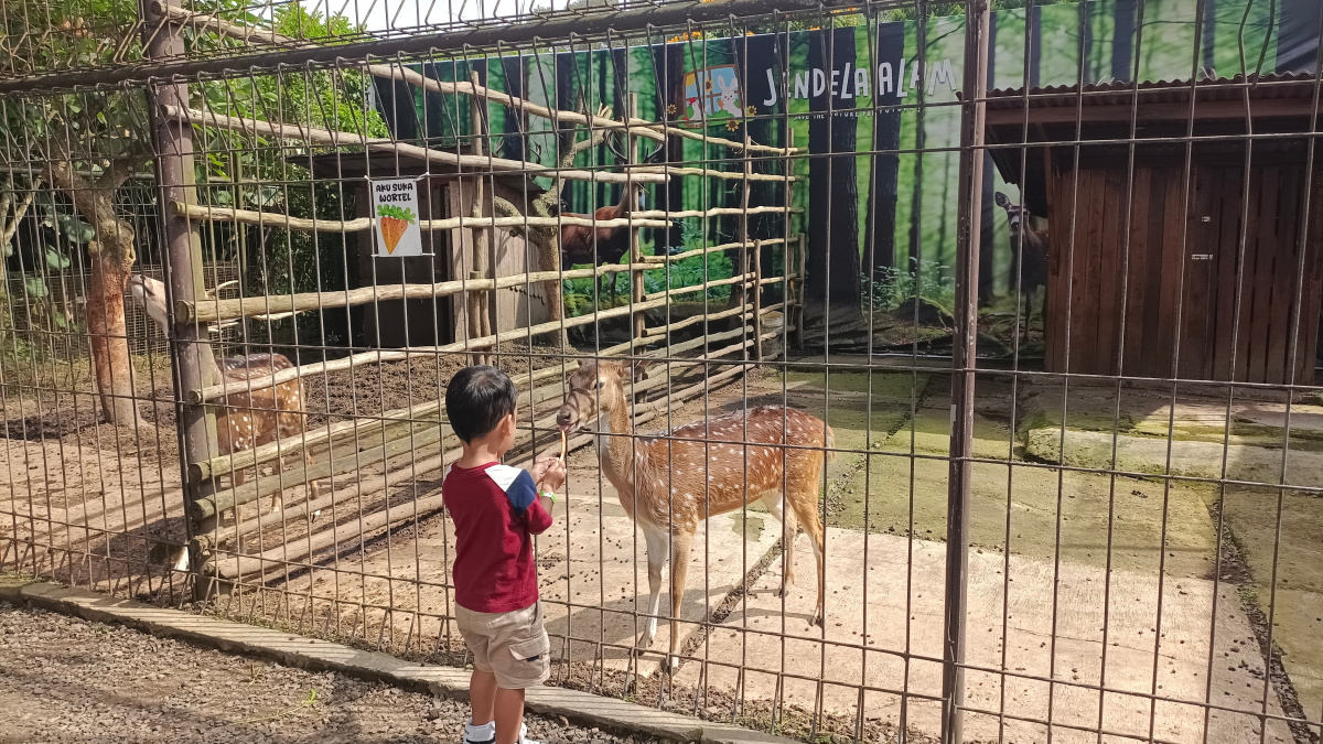 Rekomendasi Wisata Anak Saat Lebaran di Bandung, Jendela Alam Hadirkan Aktivitas Seru dari Berkebun hingga Flying Fox