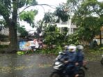 Hujan deras dan angin kencang di Bandung sebabkan 31 pohon tumbang, baliho roboh, dan tanggul jebol di sejumlah wilayah