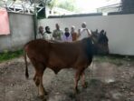 DAM Berbagi Hewan Kurban di Momen Idul Adha 1447 H