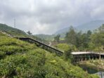 Tempat wisata Bandung Ecopark Curug Tilu Ciwidey Tempat wisata Bandung Ecopark Curug Tilu Ciwidey